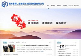 定日城市开发投资集团有限公司