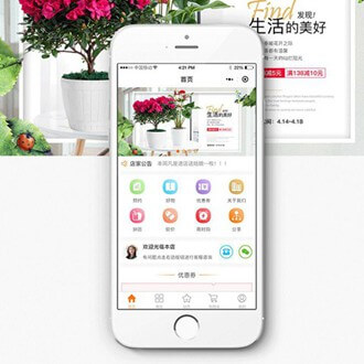 定日门店微商城小程序开发