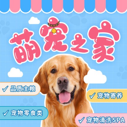 定日萌宠之家小程序开发